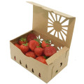 Natural Kraft Paper Containers for Produce Protection