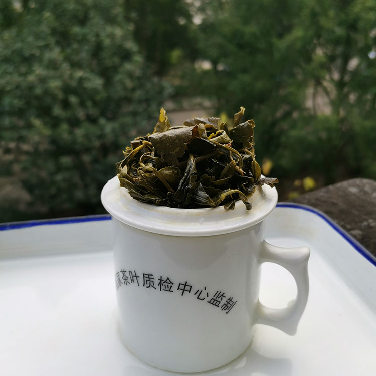 Hot sale gift packing organic health leaves tea gunpowder green tea