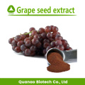 Extrato de semente de uva em pó Procianidina OPC 95% 4852-22-6