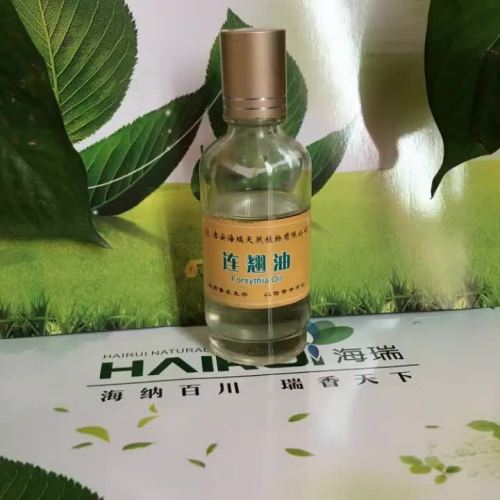 Chinese herb  forsythia Oil essential oil for skin body care