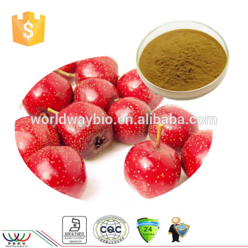 High quality 10:1 hawthorn berry extract / hawthorn extract