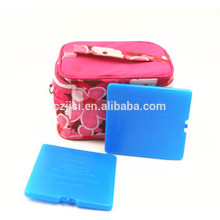 slim reusable plastic ice cooler block for lunch