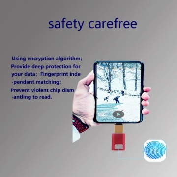 Fingerprint U Disk Flash memory