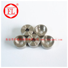 SS 304/316 Cup Washers