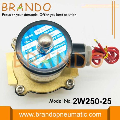 Waste Water Treatment Solenoid Valve 2W250-25