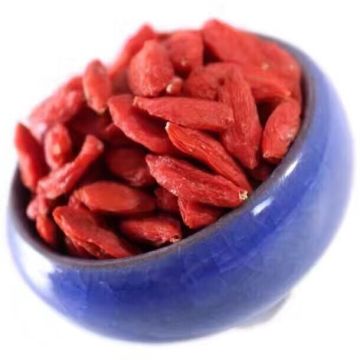 Mechanical Drying Medlar Goji Berry