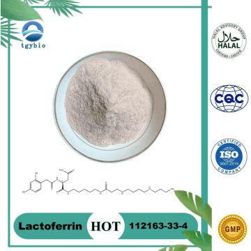 Supplément nutritionnel lactoferrin poudre CAS 112163-33-4