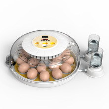 Small Household Incubator for 18 Eggs - Perfect for Hatching Eggs at Home