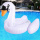 Wholesale large fashion inflatable white swan pool float