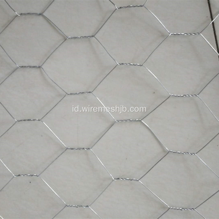 Galvanized Hexagonal Wire Fencing-Chicken Wire Mesh