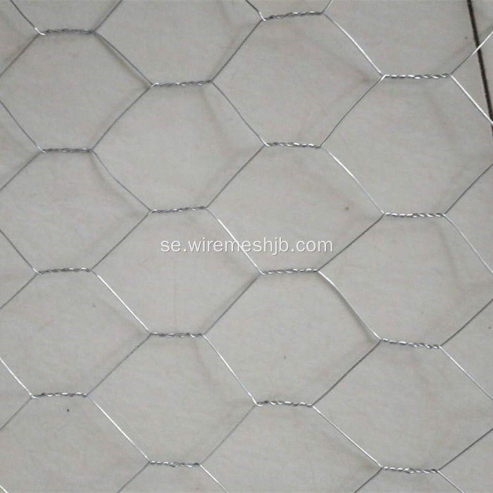 Galvaniserad hexagonal Wire Fencing-Chicken Wire Mesh