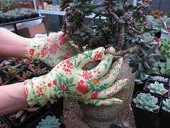 Bulk Custom Logo Design Polka Blue Nylon Knitted with Palm PVC Dotted Garden Work Hand Gloves Price