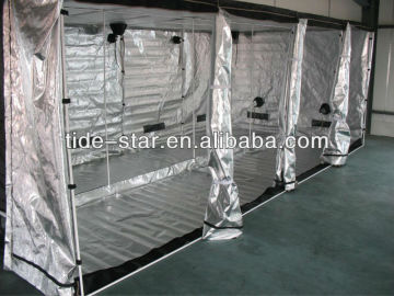 Hydroponics mylar grow room