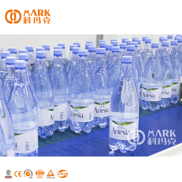 Whole Production Line for Mineral Drinking Water Purifier, Bottling and Packing Machine Plant