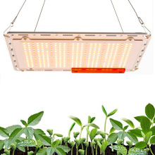 Grow light quantum board 120W