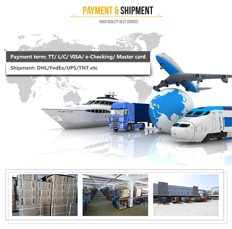 CE Sports Home Gym Magnetic Exercise Rowing Machine