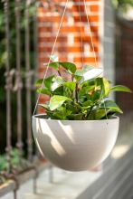 Modern Hanging Planter for Wall