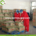 โรงงานบรรจุผลไม้ Pack Goji Berry USA