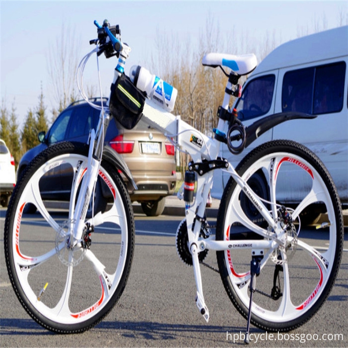 Cheap Folding Mountain Bicycle