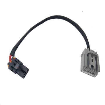 Customize 2-Pin Automobile Connector Wire Harness