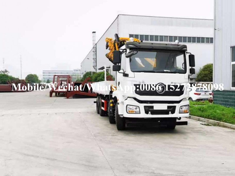 Grúa montada en camión (4) Truck Mounted Crane (4)