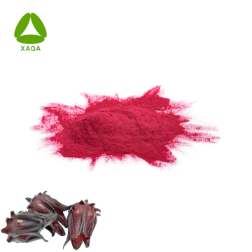 Roselle Hibiscus Extract Vitamin C Powder