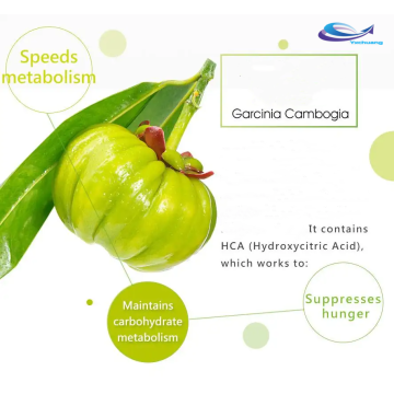 Bajo precio Pure Garcinia Cambogia Extract Powder