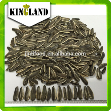 Bulk sunflower seeds 5009 hot sale