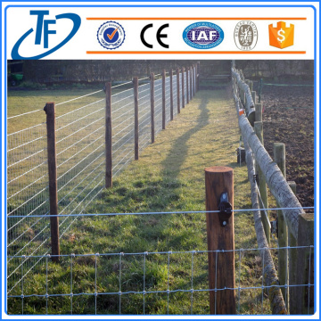 200g / m2 Hot Dipped Galvanized Farm Fence, Pagar Ternak