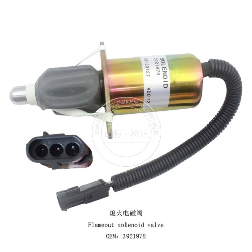 4VBE34RW3 6CT MOTOR 12V Válvula solenoide de flameo 3921978