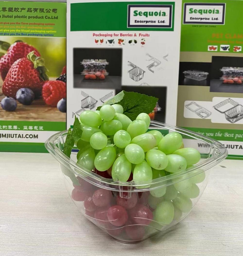 Aliments en plastique jetables / seau de fruits