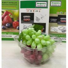 Aliments en plastique jetables / seau de fruits