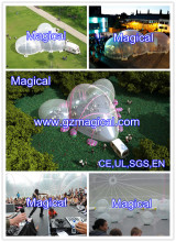 Special Shape Inflatable Exhibition Transparent Tent