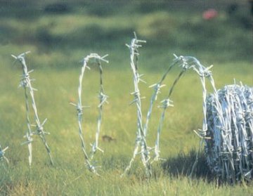 weight barbed wire