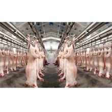 Full Set Sheep Slaughter Line with Slaughter Machine and Split Saw