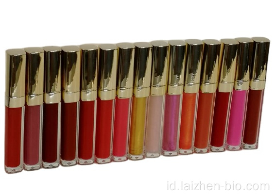 Label pribadi lip gloss cair premium OEM