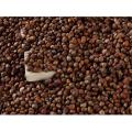 Perilla Seed high quality