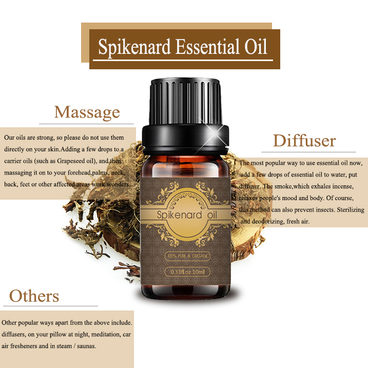 Wholesale plant extract Spikenard Essential Oil 10ml