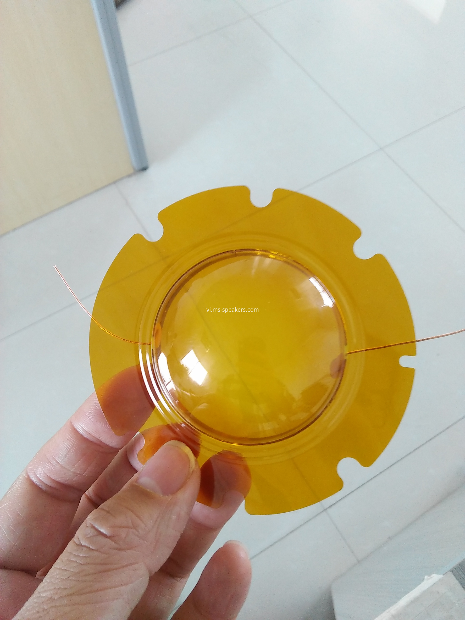 Polymeric Diaphragm