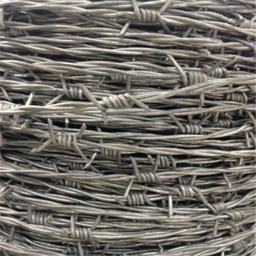 Hot sale Galvanized barbed wire