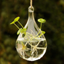 transparent hanging hydroponic glass vase
