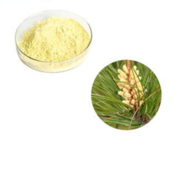 EU Organic Shell-Broken Pine Pollen Powder