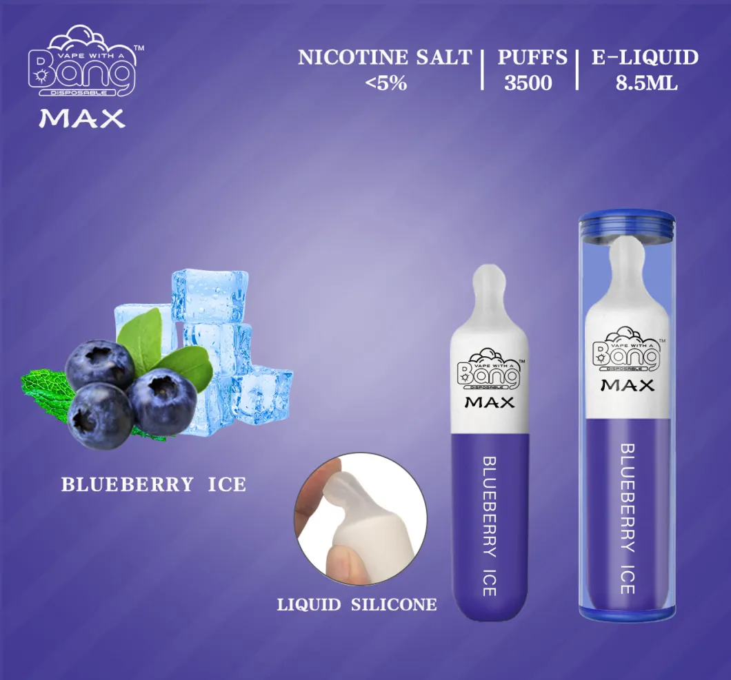 Wholesale 3500 Puffs Disposable Vape Pen Kit Bang Max with 1400mAh 8.5ml 10 Flavors