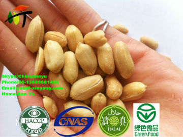 Peanut Kernel / blanched peanut / peanut in shell / roasted peanut/ Roasted and salted peanut
