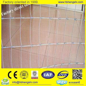 safe and secure poultry farm fence