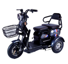 2020 Changli Small Electric Recreational Vehicles for Seniors