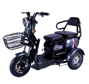2020 Changli Small Electric Recreational Vehicles for Seniors