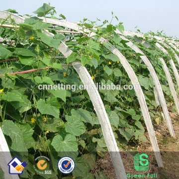 Agriculture Climbing cucumber Plant Support Net cumber net,yam net,bean net