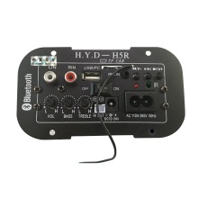 12V 24V 220V Subwoofer Amplifier Board for Car Audio DIY - 5-8 inch Speakers