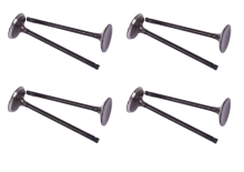 Premium Engine Intake Valves